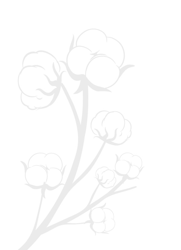 trueway hot air ballon